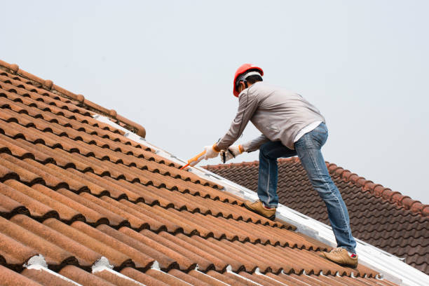 Best Gutter Installation and Repair  in Ingalls Park, IL