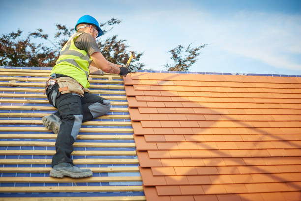Best Green or Eco-Friendly Roofing Solutions  in Ingalls Park, IL